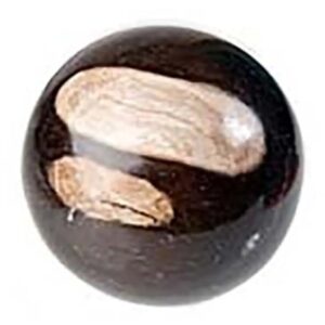 Versteend hout edelsteen bol 19 cm
