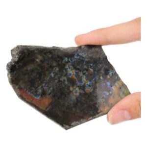 Spectroliet schijfje nr.7