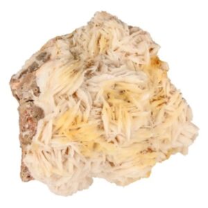 Bariet wit / oranje ruw nr.25