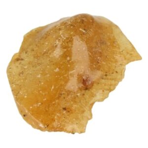 Barnsteen stuk nr.22