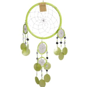 Dromenvanger spiegel-schelp 22 CM - Groen