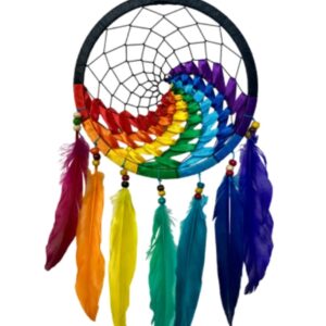 Dromenvanger wave regenboog / zwart 22 cm