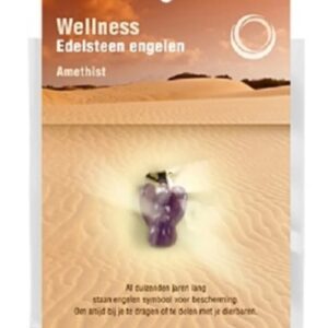 Engelen hanger + kaart Amethist