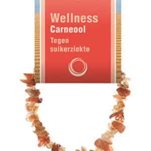 Carneool splitarmband + kaart