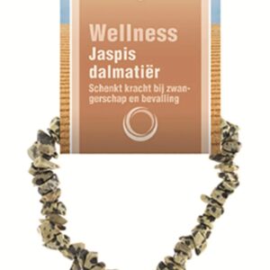 Jaspis dalmatiër splitarmband + kaart