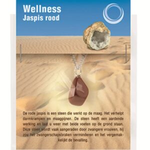 Jaspis rood gezondheids hanger
