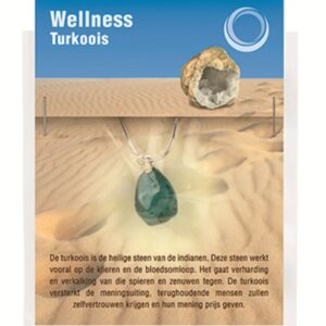 Turkoois gezondheids hanger