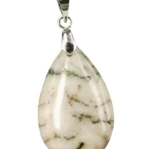 The drop of Agaat boom - hanger