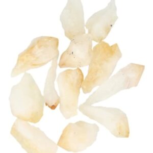 Citrien puntjes ruw (verhit), p/kg