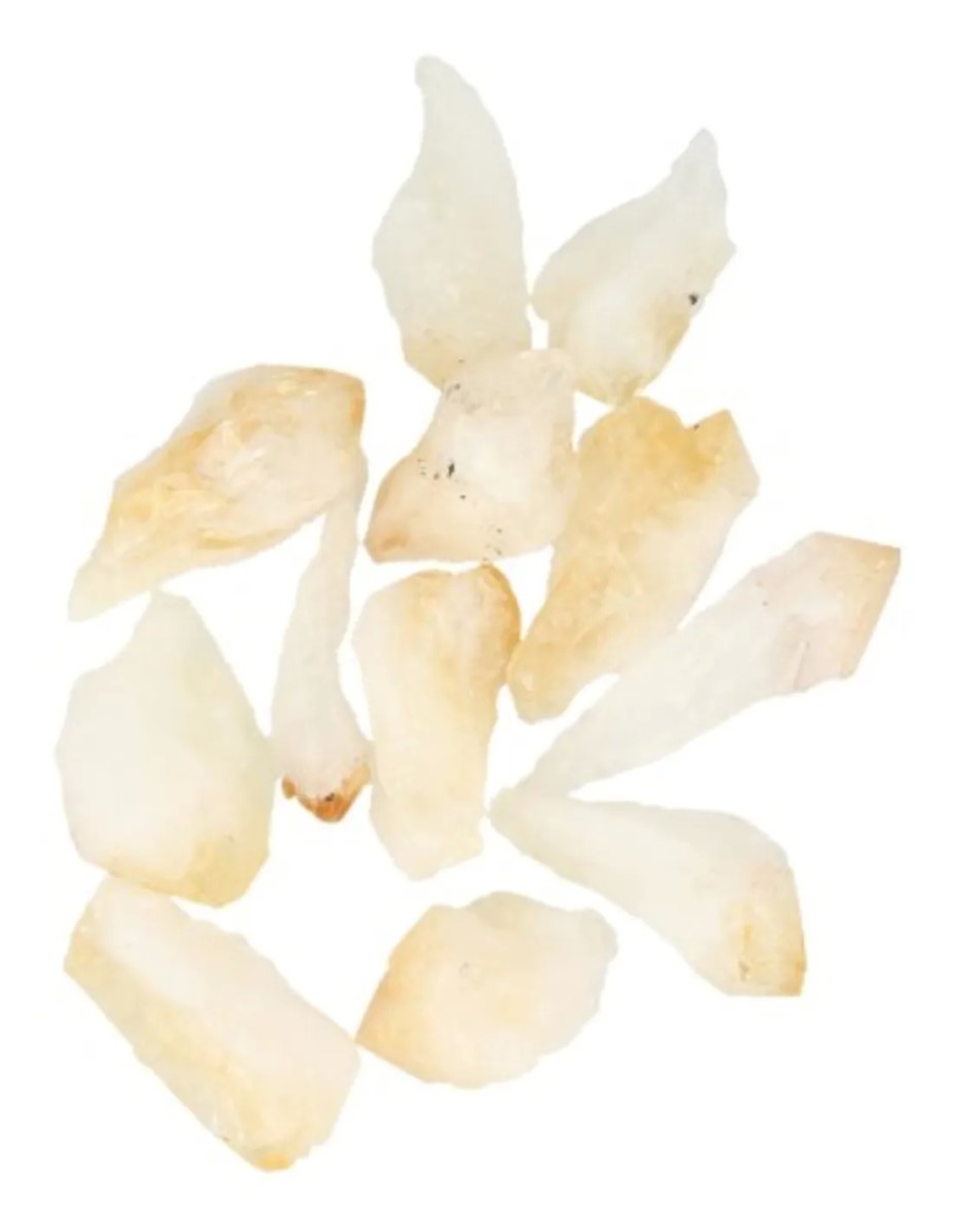 Citrien puntjes ruw (verhit), p/kg