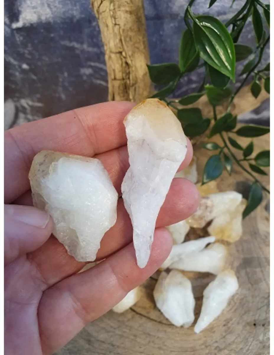 Citrien puntjes ruw (verhit), p/kg - Afbeelding 2