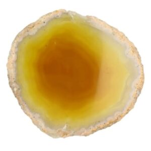 Agaatschijf groen middel 10-15 cm (gekleurd)