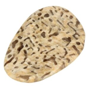 Zebradoriet edelsteen pringle