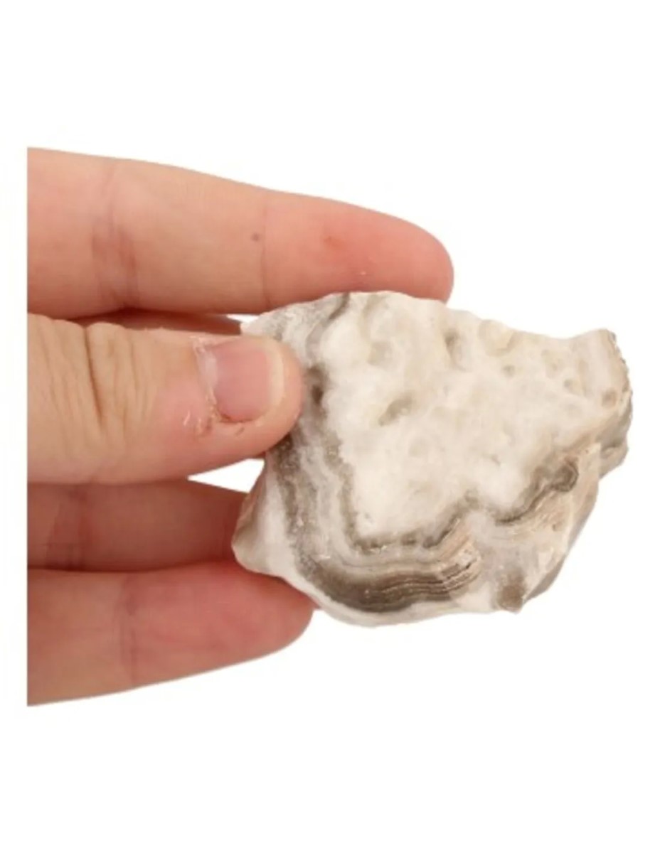 Calciet zebra ruw, p/kg - Afbeelding 3
