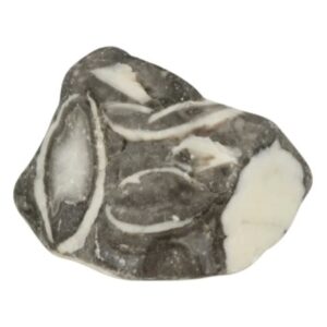 Jaspis schelp ruw - Mosselsteen 400 gram