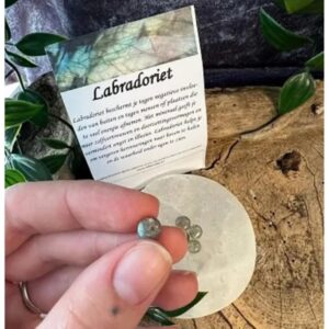 Kralen Labradoriet A+ 7 mm - 5 st.