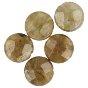 Labradoriet disc facet kralen - 5 st.