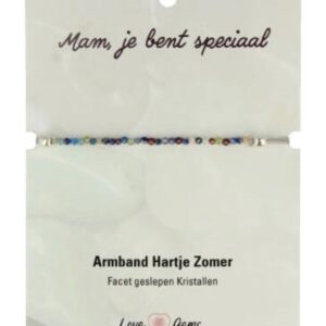 Hartje zomer armband multikleur - Moederdag