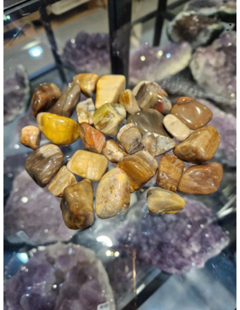 Versteend hout trommelstenen 250 gr. (mt3) - Afbeelding 2
