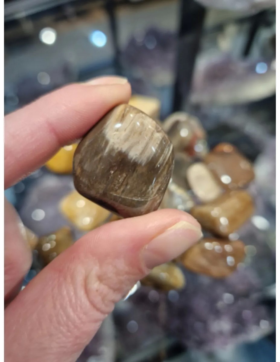 Versteend hout trommelstenen 250 gr. (mt3) - Afbeelding 3