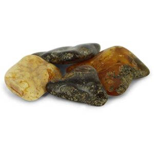 Barnsteen 25 gr. trommelstenen (mt2)