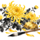 Gele chrysanten met een goudkleurige steen en een penseel op een witte achtergrond